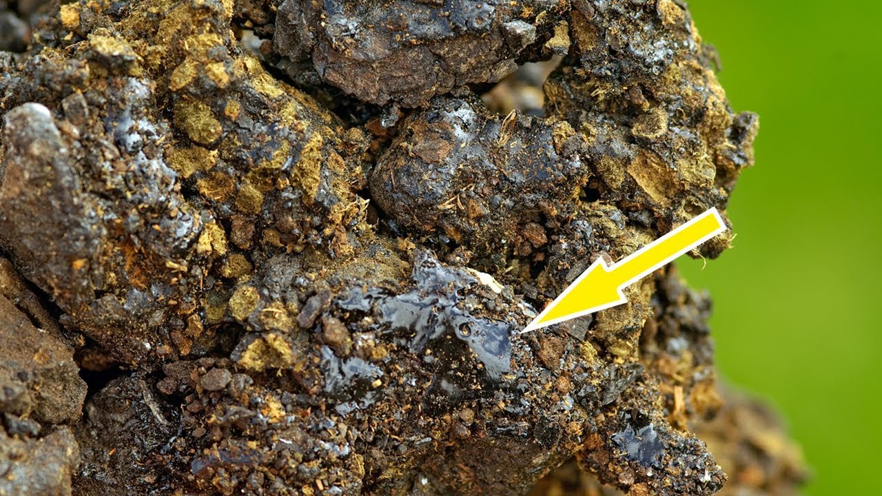 Himalayan Herbs
