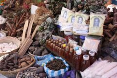 Himalayan Herbs