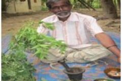 Himalayan Herbs