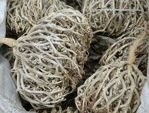 Himalayan Herbs